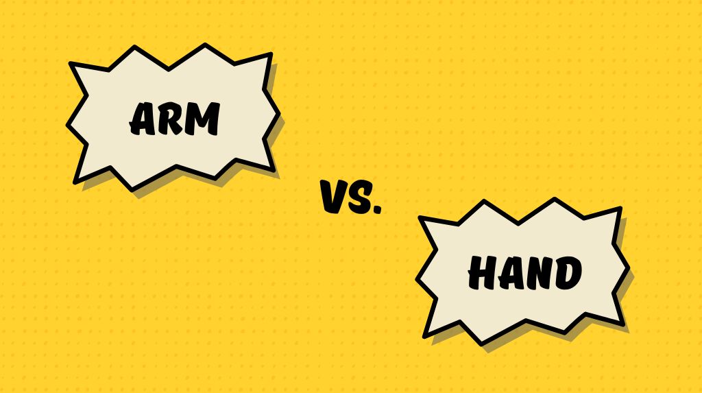 Різниця між arm та hand